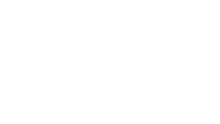Festival Lollapalooza