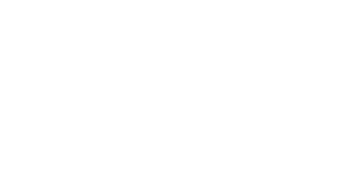 SEBRAE